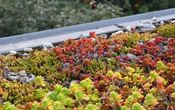 the cost of Pickwood Scar green roof installation